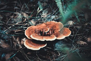 集合的基本运算说课稿_集合的基本运算教案