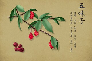 房屋装修合同及预算_房屋装修合同