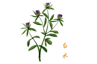 科普知识作文400字_科普知识作文300字