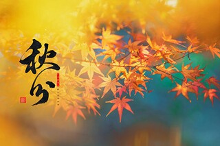 公司借款合同(公司借款合同范本)