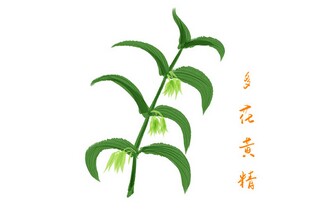 校庆活动校友会策划_校友讲坛活动策划书