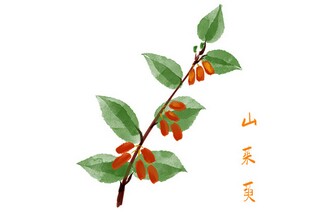端午放假通知(端午放假通知2024年)