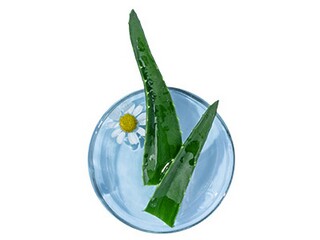 高中数学解析几何_高中数学教学计划