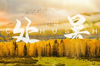 银行转岗申请书(银行申请转行申请书)