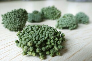 成长初三作文(成长初三作文800字记叙文关于中考)