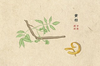 小学老师申报副高职称工作总结(小学老师申报副高职称)