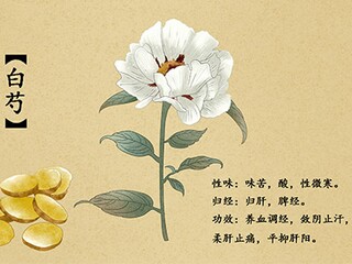 万能业务员辞职申请书_公司经营困难辞职申请书