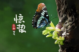 医生工作总结(医生工作总结报告)