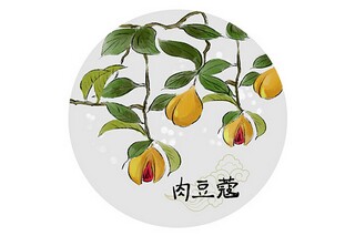 离婚的协议书(离婚的协议书)