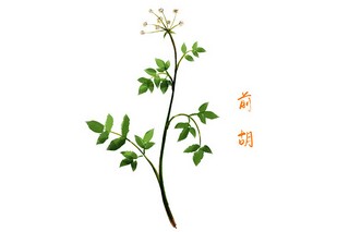 祝自己生日快乐幽默文案_祝自己的生日快乐文案