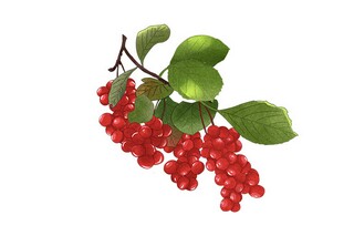 门卫劳务合同(临时工门卫劳务合同)
