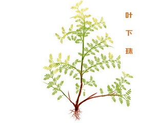 幼儿园劳动合同制待遇_幼儿园幼师劳动合同