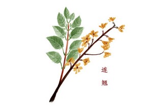 学校车辆管理制度_学校车辆管理制度