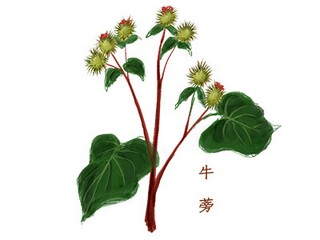合伙经营协议书_合伙经营协议书纸质