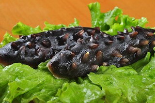 优秀小学生期末评语(小学生期末优秀评语简短)