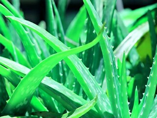 部门经理述职报告_经理助理述职报告
