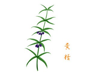 爱老助残活动总结(助老助残公益活动总结)