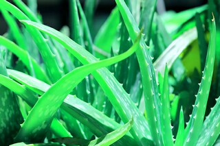 员工用工合同范本_私人企业用工合同