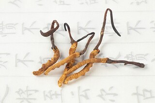 事业编制聘用合同_事业编制聘用合同到期了怎么办