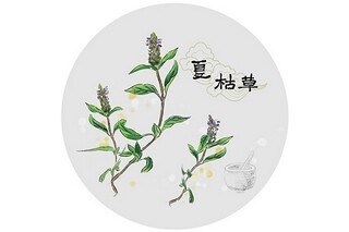 公司员工培训总结模板_公司岗前培训员工学习总结