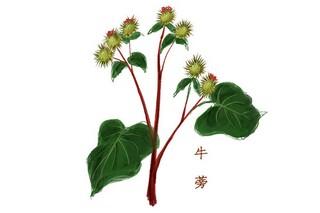 小学教师年度考核个人总结(小学数学教师年度考核个人总结)