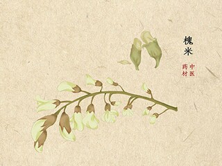 实习协议书怎么盖章_实习协议书