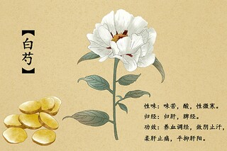 大学生留守孩问题社会实践报告_留守老人社会实践调查报告高中