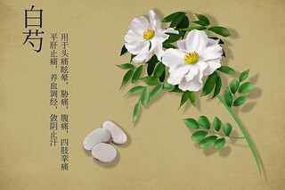 劳务分包合同(劳务分包合同无效的法律后果)