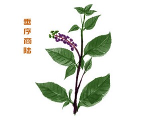 地质灾害气象应急预案(地质灾害应急预案方案)