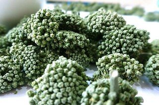 债务的协议书(债务划分协议书)