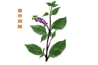 车工生产个人总结(车工工作总结100字)