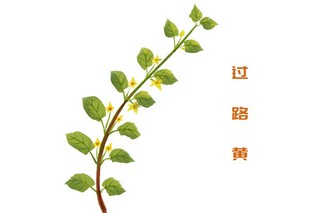 再见二月你好三月文案_二月已过去三月你好文案