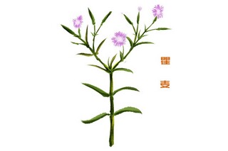 公司员工辞职报告书_公司员工离职报告书