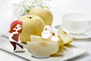 幼儿园教研方案范文_幼儿园教研活动方案