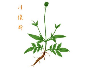 庆新年元旦晚会主持词_新年元旦主持词