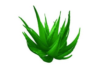 工程施工合同(工程施工合同毛利)