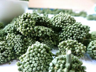 世界读书日系列活动活动方案_世界读书日活动方案