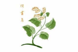 清明节缅怀先烈诗歌(清明节缅怀先烈诗歌朗诵)