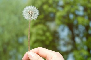 清明节缅怀先烈寄语(清明节缅怀英烈寄语)