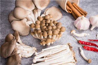 个人地下车位出租合同_个人车位出租合同简单版