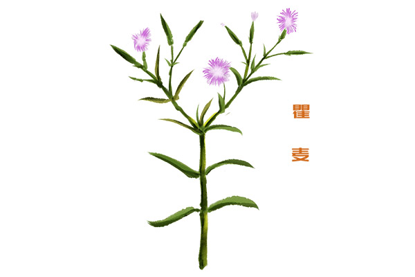 形容时间快的诗句(时间感悟精辟诗句)