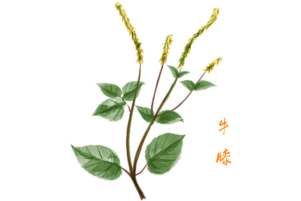 课文《比尾巴》的优秀教学设计_一年级比尾巴优秀教学设计
