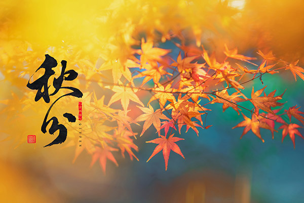 工伤调解的协议书(工伤调解的协议书)