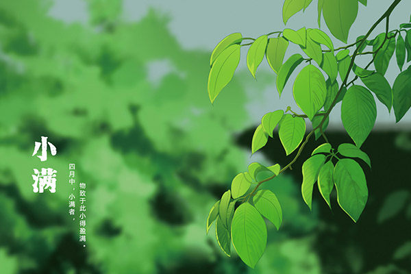 培训机构招生方案发朋友圈_培训机构招生方案