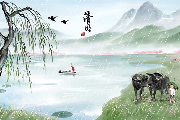 牵牛花小学作文(二年级作文牵牛花)