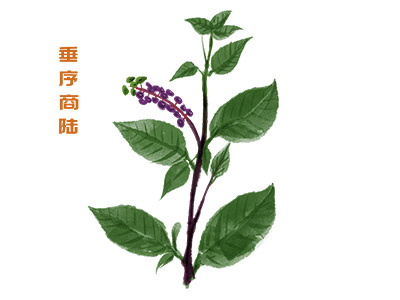 房东租房合同(房东租房合同违约怎么处理)