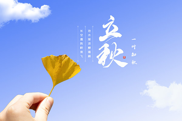 隧道实训报告1000字_隧道实习报告