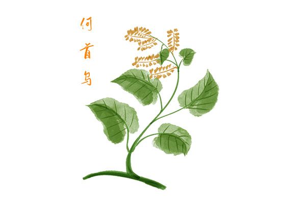 师德师风教育个人自查报告(师德师风自查个人报告初中)