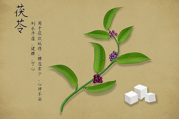 纸巾玫瑰花折法图片(纸巾折玫瑰花的做法)
