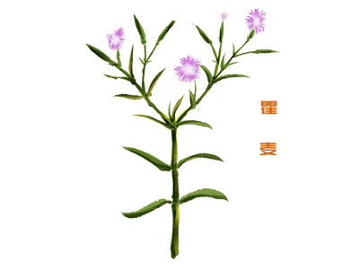 广告合同_广告合同